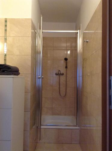 a shower with a glass door in a bathroom at Willa Gracja in Wisła