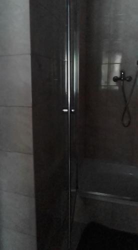 a shower with a glass door in a bathroom at Willa Gracja in Wisła