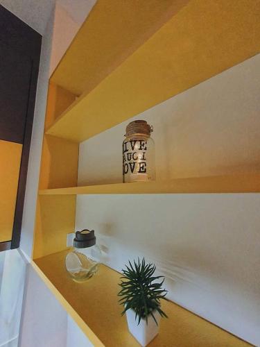 a potted plant sitting on a shelf in a room at Zara 1 Apartman in Bijeljina