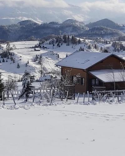 a building with snow on the ground next to a mountain at Sirnea Chalet in Şirnea