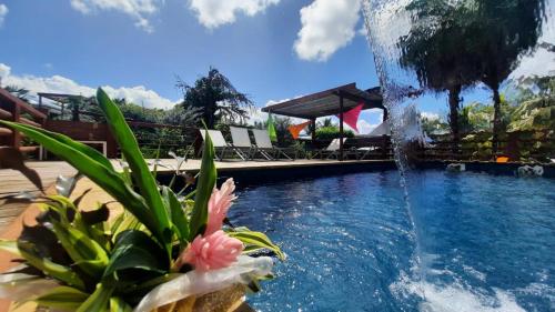 a fountain in the middle of a swimming pool at Gite INDIA in Port-Louis