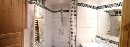 a bathroom with a shower and a sink at Suite cosy 2 chambres et sdb privative in Blagnac