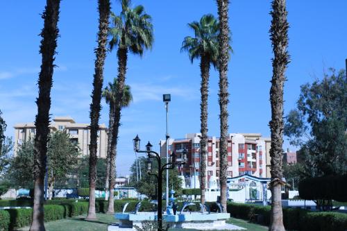 a group of palm trees in front of a building at Jewel Assiut Hotel in Asyut