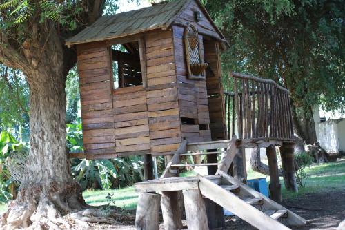 a wooden bird house sitting on a tree at Jewel Assiut Hotel in Asyut