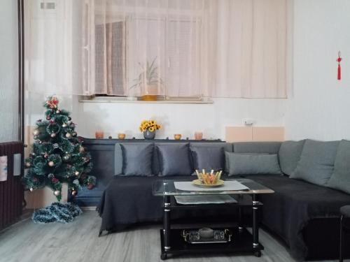 ein Wohnzimmer mit einem Weihnachtsbaum und einer Couch in der Unterkunft Apartment Anna in Belgrad