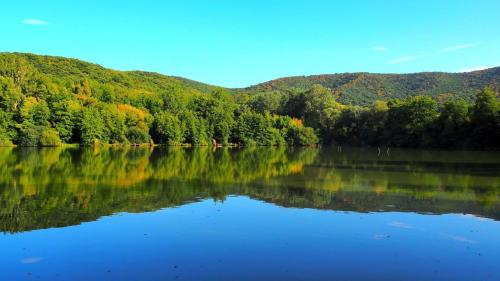a view of a lake in the middle of a forest at Bubánatvölgy Cseresznyevirág vendégház in Esztergom