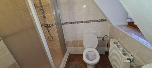 a small bathroom with a toilet and a shower at Apartmány Pony in Ludvíkov
