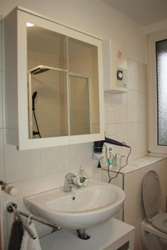 a bathroom with a sink and a mirror and a toilet at Diamanthaus 3 Koblenz in Koblenz