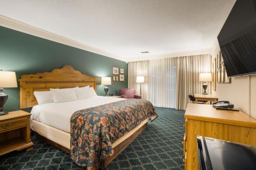 um quarto de hotel com uma cama e uma televisão de ecrã plano em Bavarian Inn Lodge em Frankenmuth