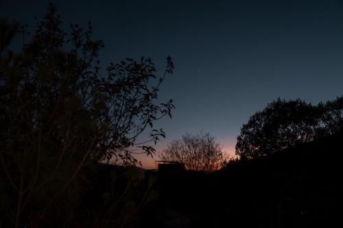 a night view of the sky with trees in the foreground at Encuentro Guadalupe in Valle de Guadalupe