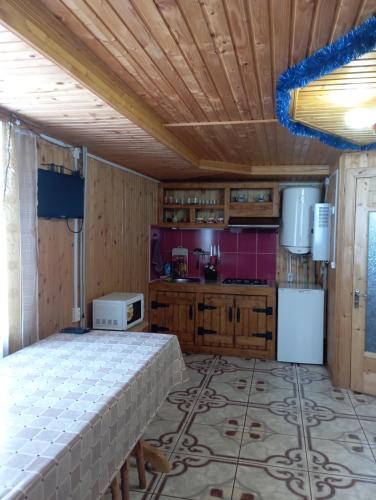 ヤレムチャにあるHoliday Home Melodiya Karpatのキッチン(ベッド付)