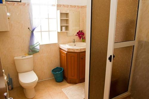 a small bathroom with a toilet and a sink at Villa Palmistes Apartment in La Gaulette