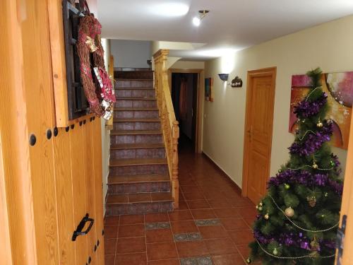 a staircase with a christmas tree in a hallway at CASA RURAL EL CAIDERÓN in Ambel