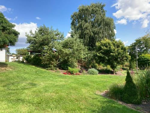 a grassy yard with trees in the background at Pension Volgenandt in Breitenbach