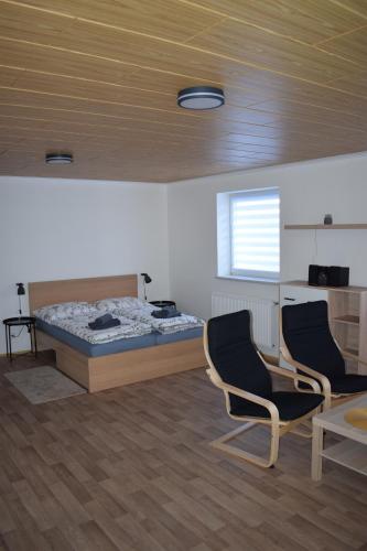 1 dormitorio con 1 cama, 2 sillas y mesa en Penzion Víra, en Velké Losiny