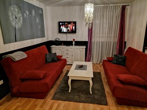 Bella House – Photos 2