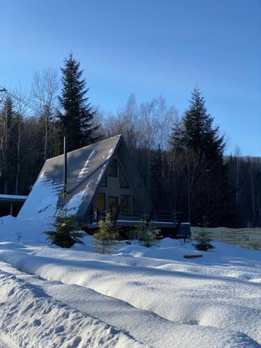 a log cabin in the snow with trees at Soul House in Bagna