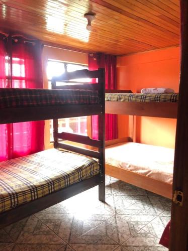 Postel nebo postele na pokoji v ubytování Monteverde Monkey Hostel