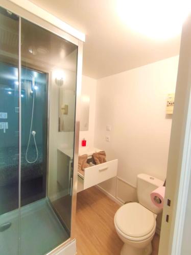 a bathroom with a toilet and a glass shower at Le studio du château in Fougères