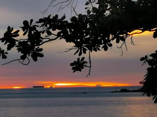 a sunset over the water with a tree silhouette at 48 悠之处NO . 48, PERSIARAN ALAM IMPIAN 3 VILLA RIADAH ALAM IMPIAN PANGKOR, 32300 PANGKOR , PERAK. in Pangkor