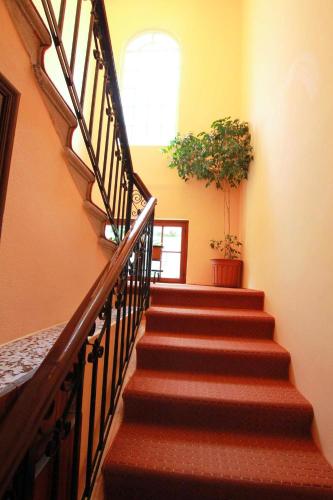 a staircase in a building with a potted plant at Hotel Anastasia in Rhodes Town