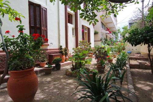 a bunch of potted plants in a courtyard at Hotel Anastasia in Rhodes Town