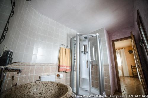 a bathroom with a shower and a sink at Casa Rural Castillo Diempures in Cantalojas