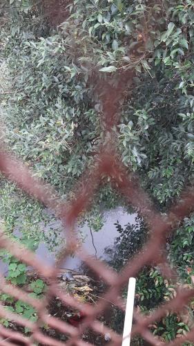MY APARTTMENT – Photos 3