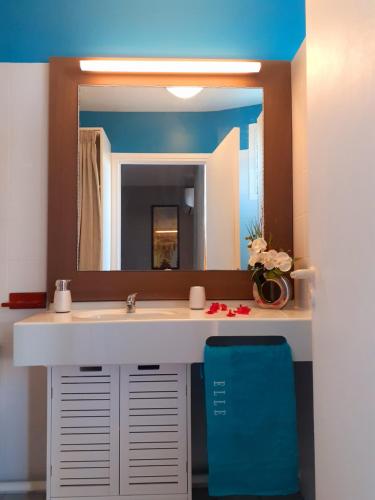 bagno con lavandino e grande specchio di Studio Douceur des iles a Belle-Allée