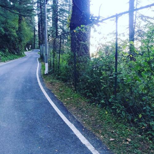 a road with a fence on the side of it at Shimla Pines Homestay in Shimla