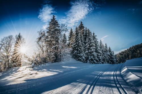 a snowy road with snow covered trees and the sun at FOUR PEAKS Apartment in Flachau