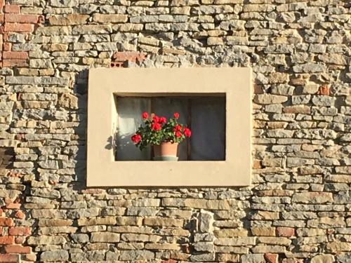 a window with a flower pot on a brick wall at Casa Branzele in Trezzo Tinella