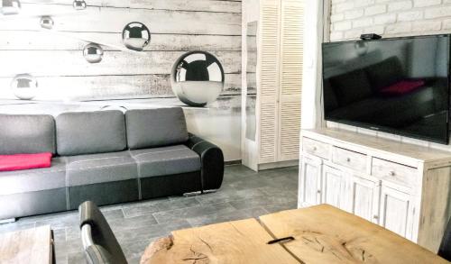 a living room with a couch and a television at Apartament LUX in Karpacz