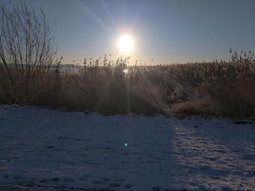 a snow covered field with the sun in the background at Ostsee Hausboot Schleswig Ostseeblick 1 in Schleswig