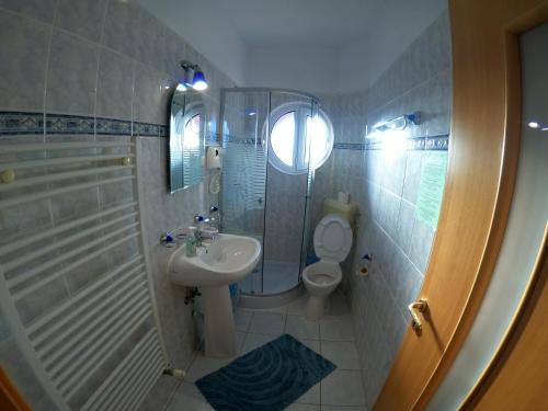 a bathroom with a shower and a toilet and a sink at Casa Ana in Sinaia