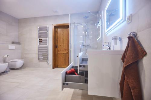 ein Bad mit einer Dusche, einem Waschbecken und einem WC in der Unterkunft Apartmány na Krásné Vyhlídce in Liberec
