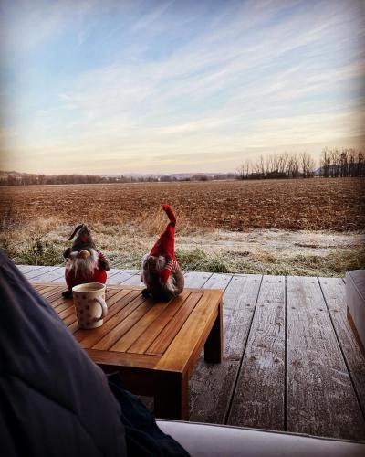 two chickens sitting on a wooden table in front of a field at Domček 22 in Dudince