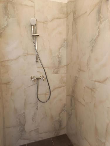 La salle de bains est pourvue d'une douche avec un pommeau de douche. dans l'établissement B&B Villa de Beuk, à Stadskanaal