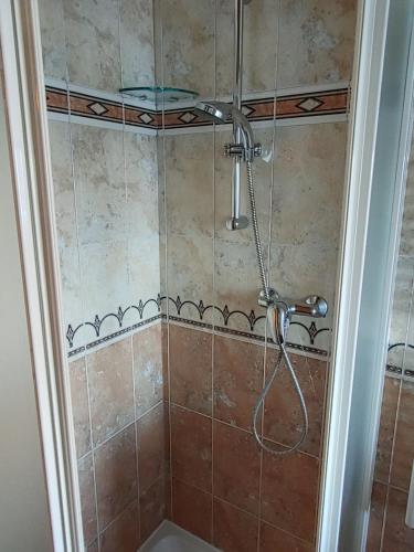 a shower with a shower head in a bathroom at Appartamento Al Brenz in Croviana