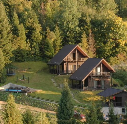 une grande maison en bois sur une colline avec des arbres dans l'établissement Cottages Shepit Lisu, à Rosokhach