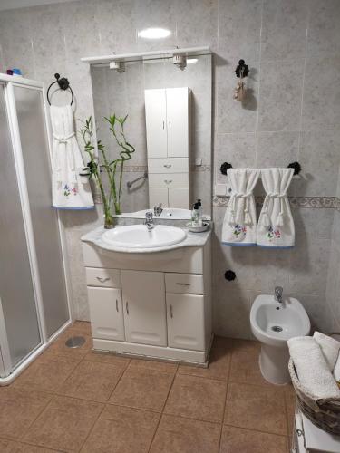 a bathroom with a sink and a shower and a toilet at Alojamiento Rural Los Barrosos in Coripe