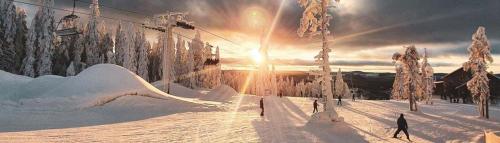 a person riding a ski lift in the snow at Rämsbyns fritidsby, nära Romme Alpin in Idkerberget