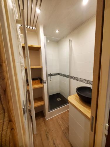 a bathroom with a glass shower and a sink at Studio résidence Le Brelin aux MENUIRES in Les Menuires