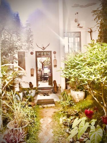 Pearl Villa Rooms and Hostelにある庭