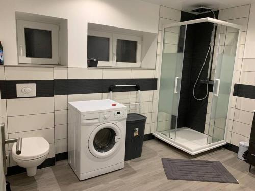 a bathroom with a washing machine and a shower at Appartement neuf, au coeur du massif Vosgien in Fraize