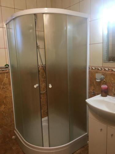 a shower with a glass door next to a sink at Casa Elena in Voineşiţa