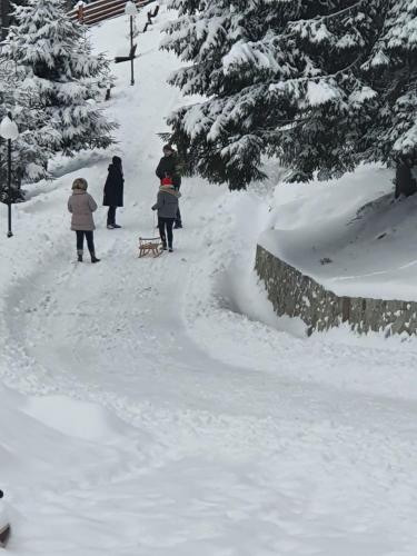 a group of people walking in the snow at Casa Sofia Bucovina in Ciumîrna