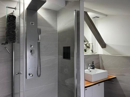 a bathroom with a shower and a sink at FEWO Hoppegarten in Hoppegarten