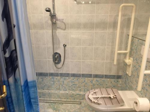 a bathroom with a shower with a toilet in it at Berta in Neunkirchen