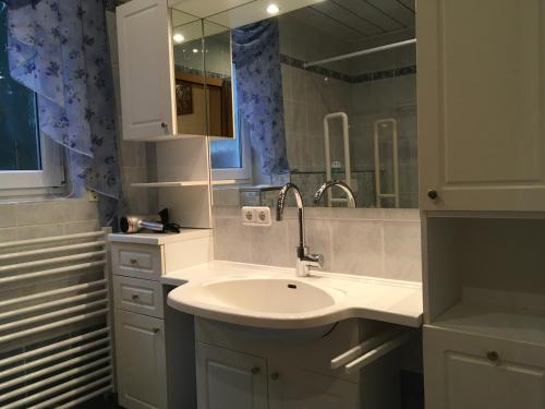 een badkamer met een wastafel en een spiegel bij Berta in Neunkirchen
